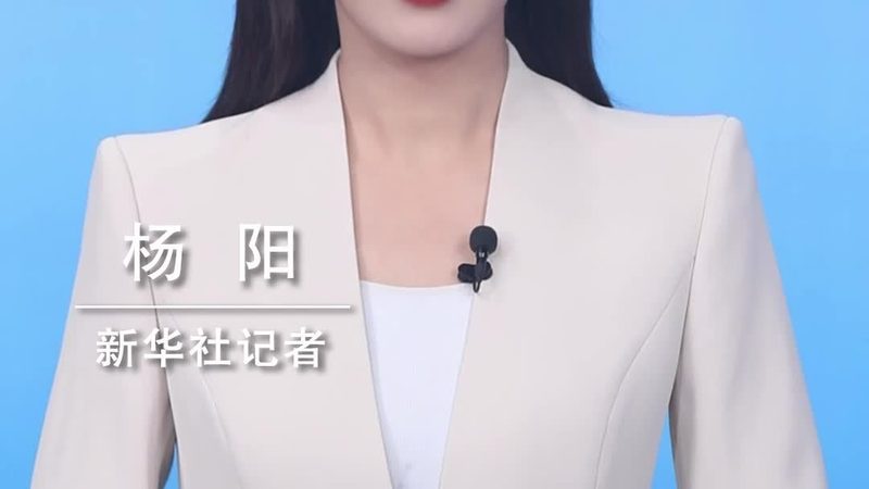 金融行业智能客服解决方案：构建高效服务新篇章**